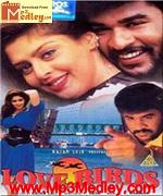 Love Birds 1996 song download